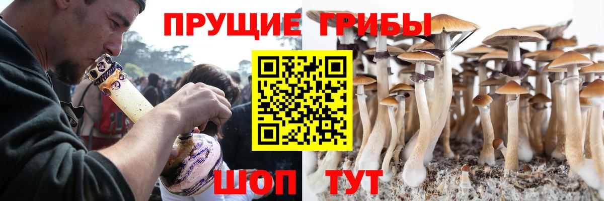 Прохладный  хочу наркоту  Вход с VPN  Галлюциногенные грибы MAGIC MUSHROOMS 